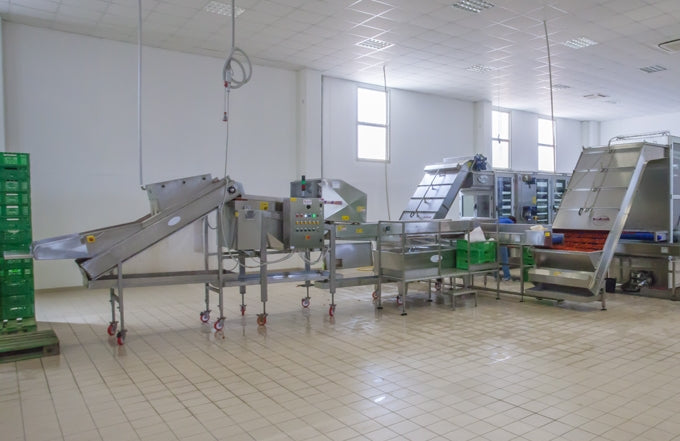 PROCESSING at Cooperativa Aurora
